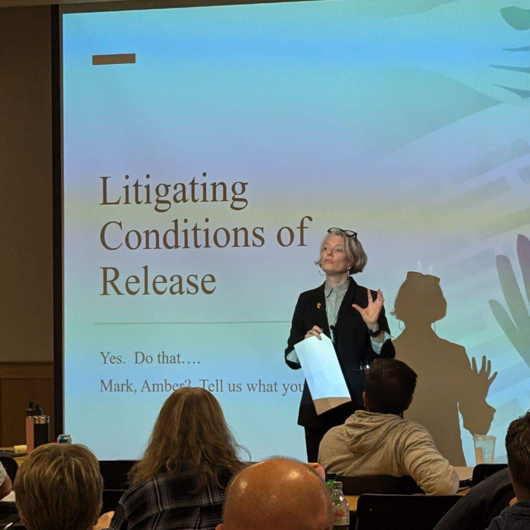 Maine Law experts and students advocate for the future of youth justice statewide and beyond