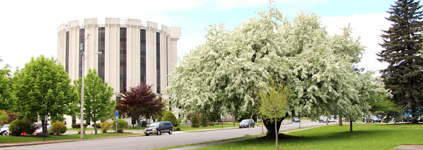 University of Maine School of Law