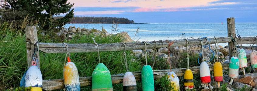 Ocean view for Reunion 2020