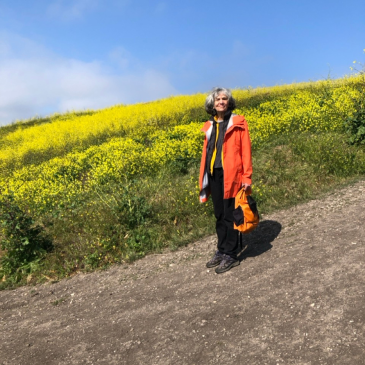Photo of Barbara Taylor standing in a field of yellow flowers