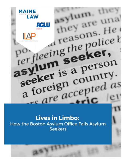 Photo of front cover of "Lives in Limbo" report