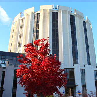 University of Maine School of Law